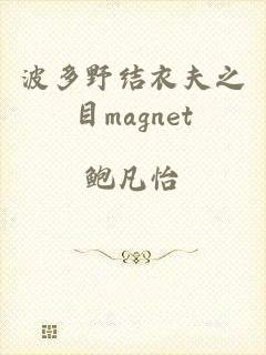 波多野结衣夫之目magnet