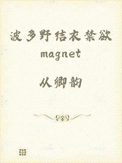 波多野结衣禁欲magnet