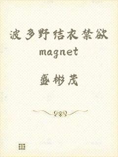 波多野结衣禁欲magnet