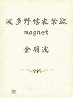 波多野结衣禁欲magnet