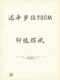 泷泽萝拉980M