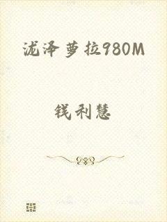 泷泽萝拉980M