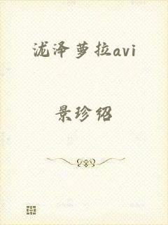 泷泽萝拉avi