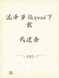 泷泽萝拉qvod下载