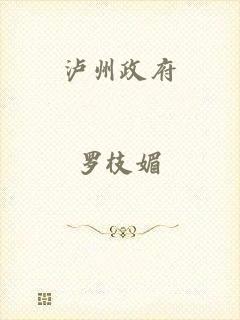 泸州政府