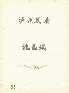 泸州政府