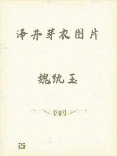 泽井芽衣图片