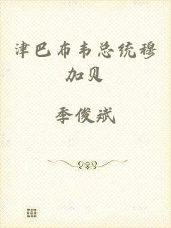 津巴布韦总统穆加贝
