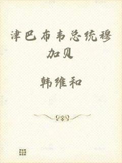 津巴布韦总统穆加贝