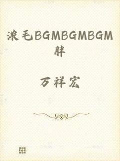 浓毛BGMBGMBGM胖