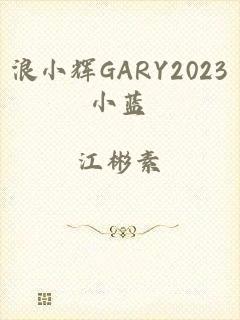 浪小辉GARY2023小蓝