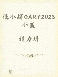 浪小辉GARY2023小蓝