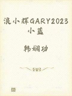 浪小辉GARY2023小蓝