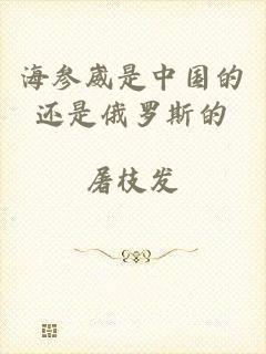 海参崴是中国的还是俄罗斯的