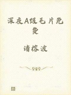 深夜A级毛片免费