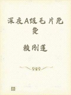 深夜A级毛片免费