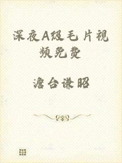 深夜A级毛片视频免费