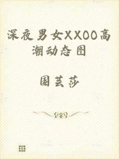 深夜男女XXOO高潮动态图