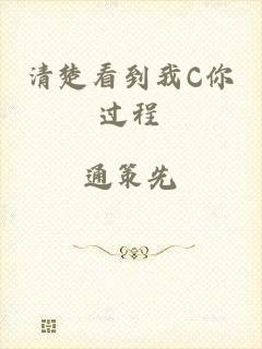 清楚看到我C你过程