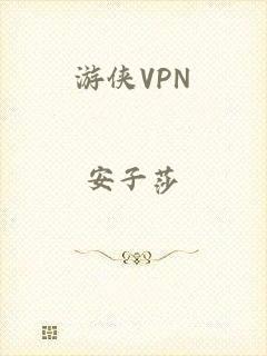 游侠VPN