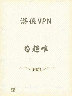 游侠VPN