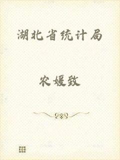 湖北省统计局