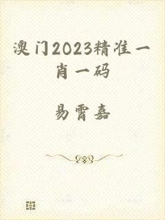 澳门2O23精准一肖一码