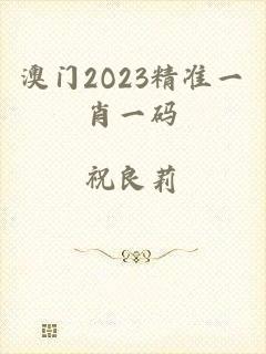 澳门2O23精准一肖一码