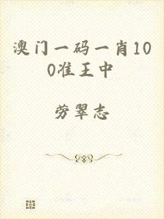 澳门一码一肖100准王中