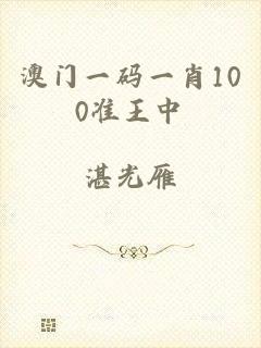 澳门一码一肖100准王中