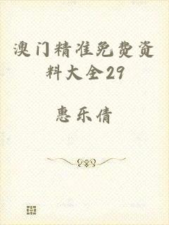 澳门精准免费资料大全29