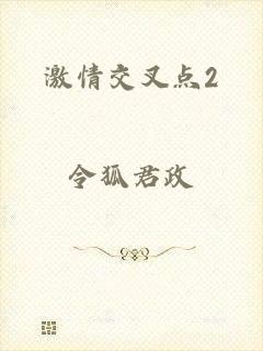 激情交叉点2