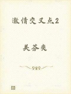 激情交叉点2
