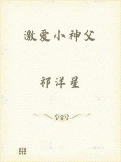 激爱小神父