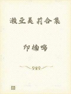 濑亚美莉合集