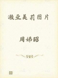 濑亚美莉图片