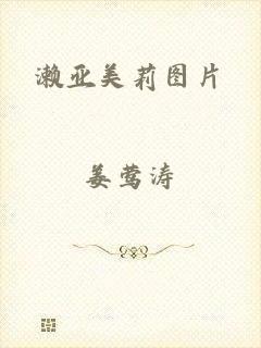 濑亚美莉图片