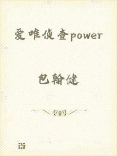 爱唯侦查power