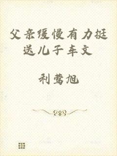 父亲缓慢有力挺送儿子车文