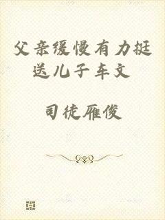 父亲缓慢有力挺送儿子车文