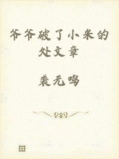 爷爷破了小米的处文章