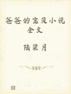 爸爸的宝贝小说全文