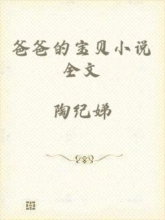 爸爸的宝贝小说全文