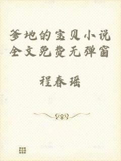 爹地的宝贝小说全文免费无弹窗