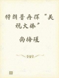 特朗普再挥“关税大棒”