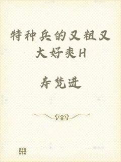特种兵的又粗又大好爽H