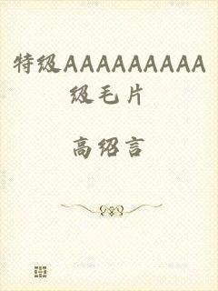 特级AAAAAAAAA级毛片