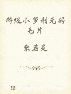 特级小箩利无码毛片
