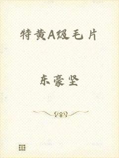 特黄A级毛片