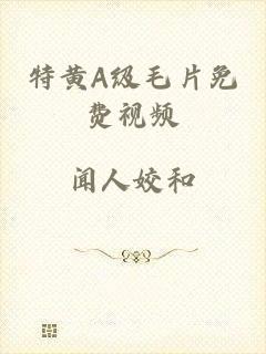 特黄A级毛片免费视频